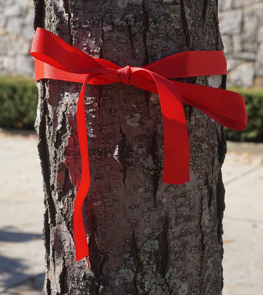 Red Ribbon Week in New Rochelle Schools