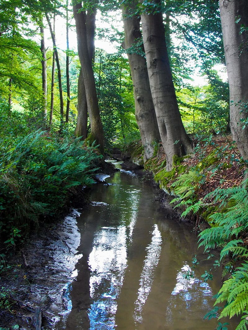 Astorino announces winners of Soil & Water Achievement Awards