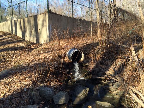 No Corruption in New Rochelle Schools? Visit Barnard School Tennis ...