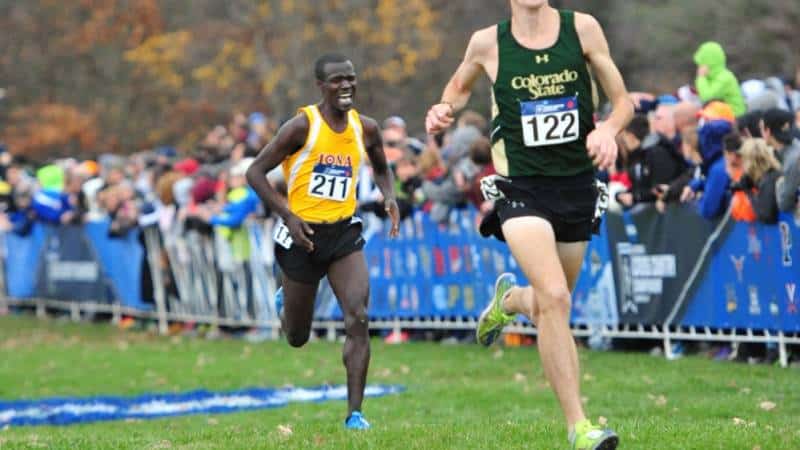 Iona MXC Places Fifth At NCAA Championship; Kirui All-American