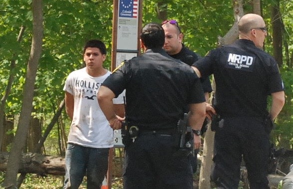 NSWWoodsManhunt - 6.jpg