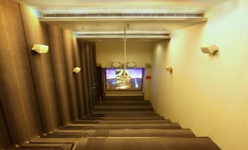 Screening of Wildlike with Q&A with director Frank Green Hall at The Picture House