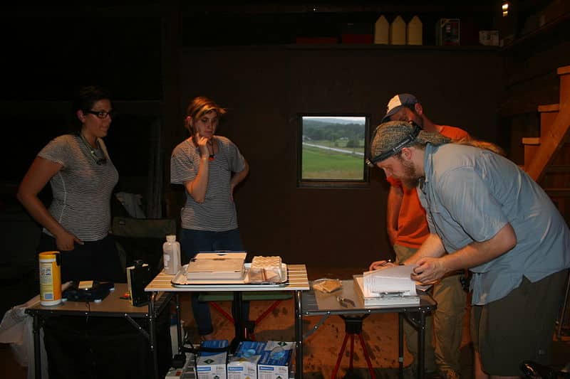 DEC Seeks Landowners to Assist with Wild Turkey Research