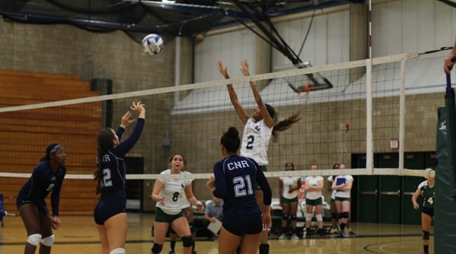 Skidmore Stifles Womens Volleyball