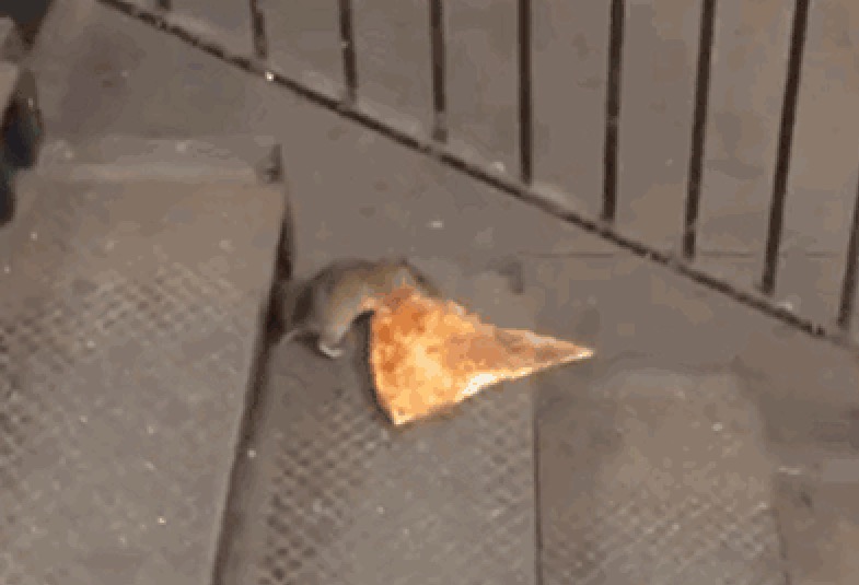 DiNapoli: MTA's Plan to Pull Trash Cans Didn't Make Stations Cleaner