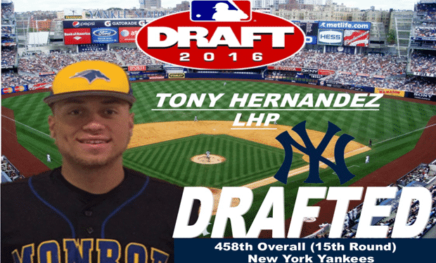 Monroe College Pitcher Tony Hernandez Selected by Yankees in 2016 MLB Draft