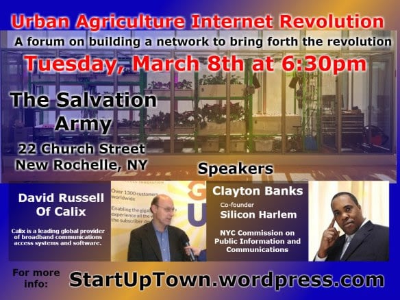 Entrepreneurship as a Cure for Violence