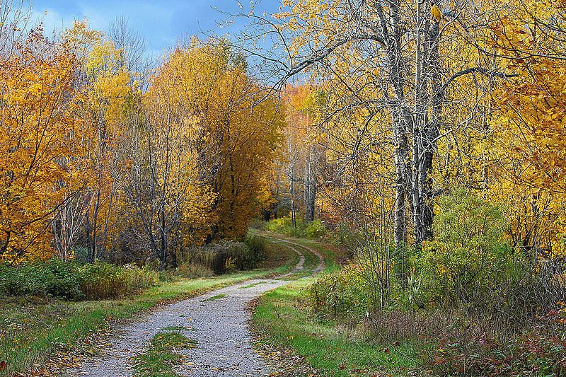 Ridge_Road,_Gatineau_Park_(7985502539).jpg