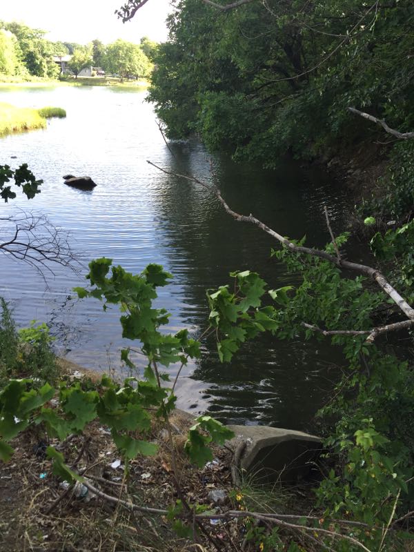 Sewage-Isaac-14 - 1.jpg