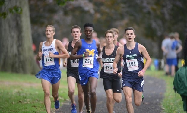 Monroe College Sports.jpg