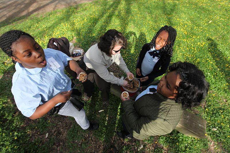 Patterson_Elementary_students_(26088794741).jpg