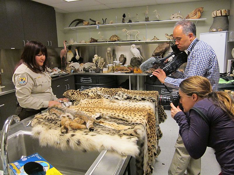 Wildlife_inspector_and_Washington_Post_photographers_(14965985743).jpg
