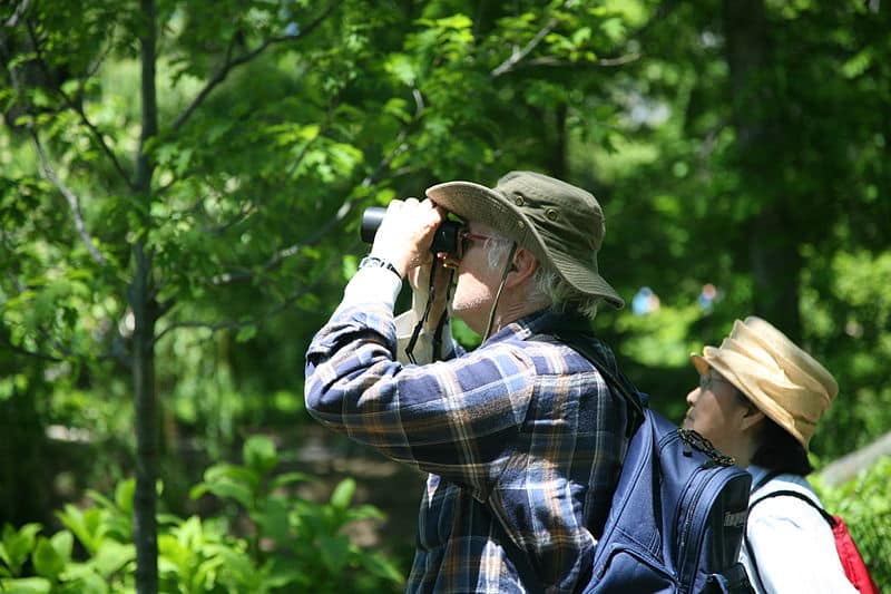 Birding in Winter.jpg