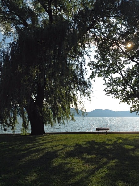 Croton Point Park.jpg