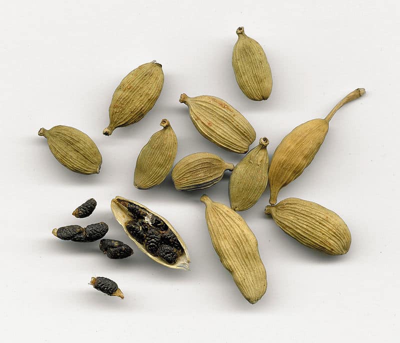 Seeds.jpg