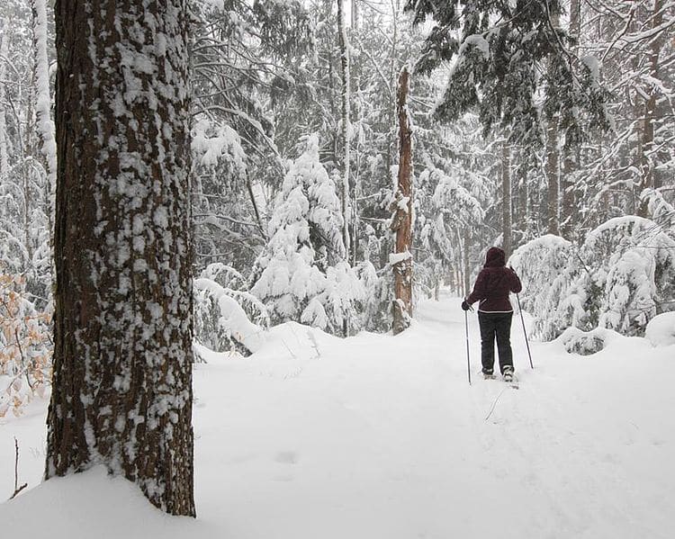 Snowshoeing.jpg