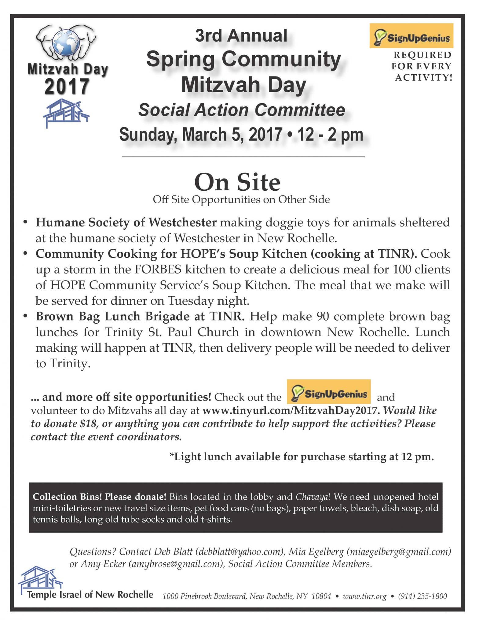 mitvah day 2017 FLYER for Social Action_Page_1.jpg