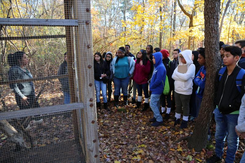 Isaac E. Young Students Learn About Wildlife Rehabilitation
