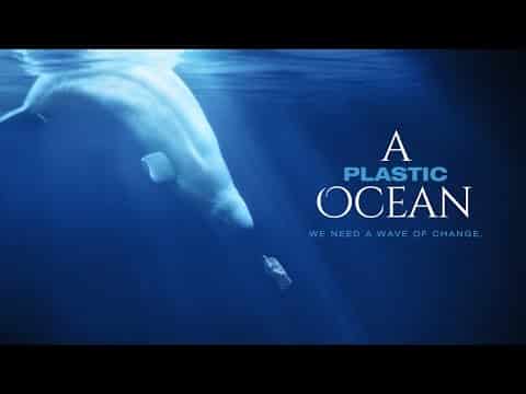 A Plastic Ocean.jpg