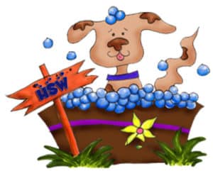Humane Society of Westchester’s 17th Annual Dog Wash Fundraiser