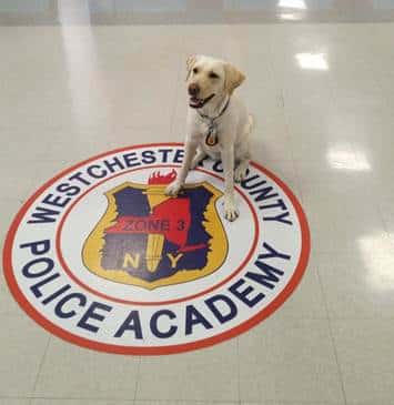 Astorino, County Police & FBI Introduce New Cyber Canine