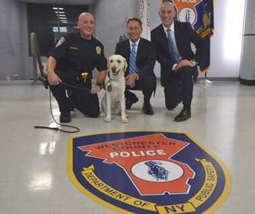 Photo Caption (left to right): Detective Hochron, County Executive Astorino and Special Agent in Charge Aristedes Mahairas