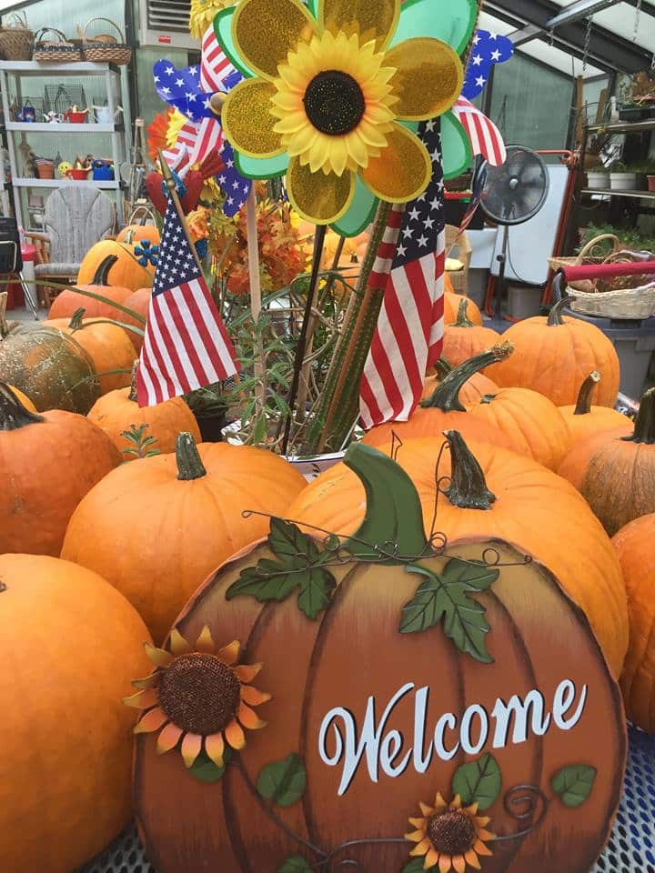 Pumpkin Patch