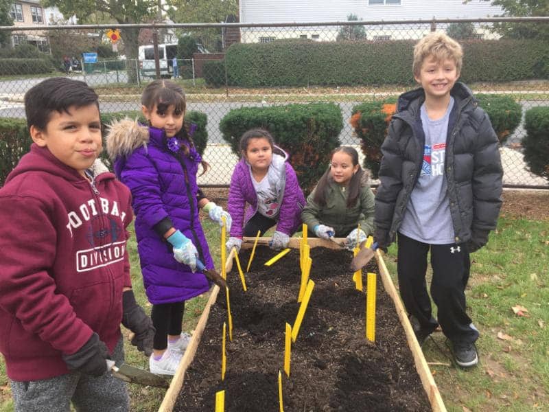 Columbus Elementary School second-graders plant daffodil bulbs in the new garden.