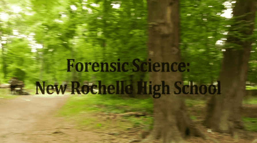 Forensic Science Exam Takes Students to the Scene of the Simulated Crime