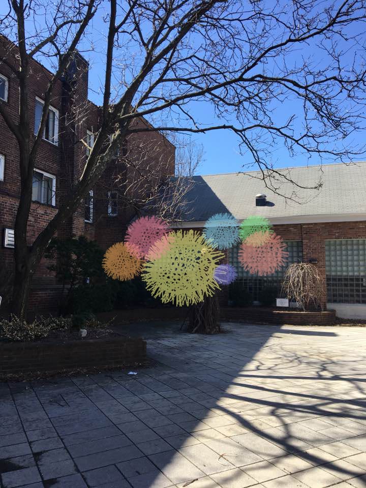 1. Pompom.jpg