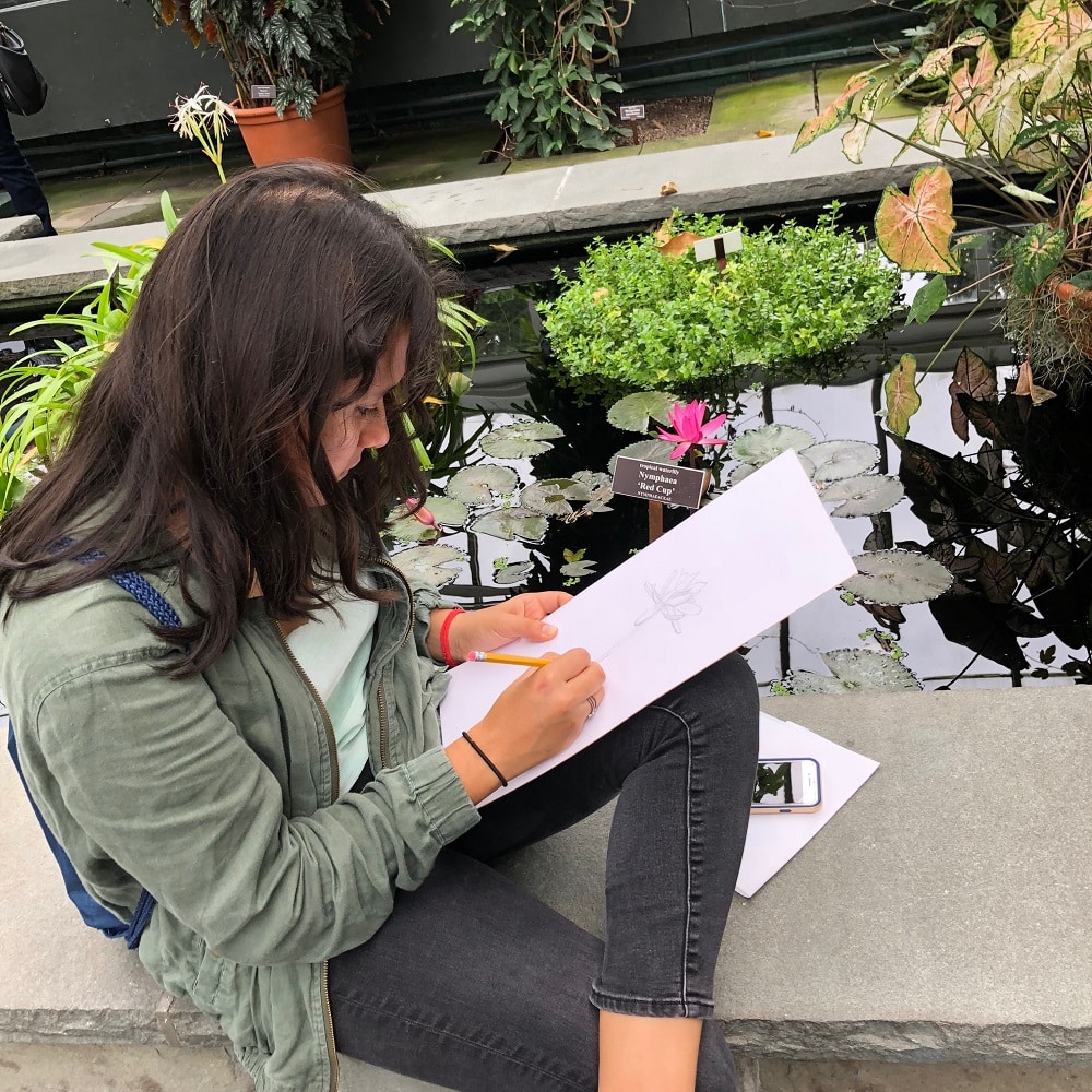 New Rochelle High School Art Students Visit NY Botanical Garden