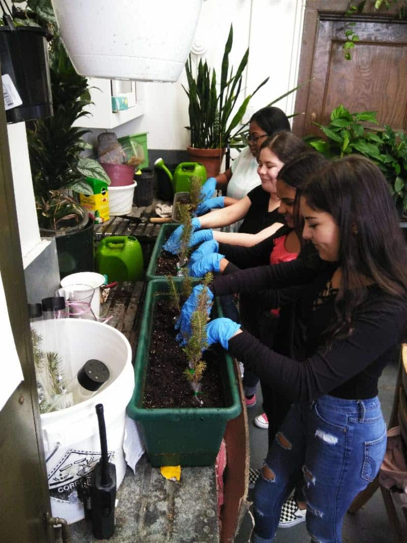 Students Across District Plant Trees Donated by City