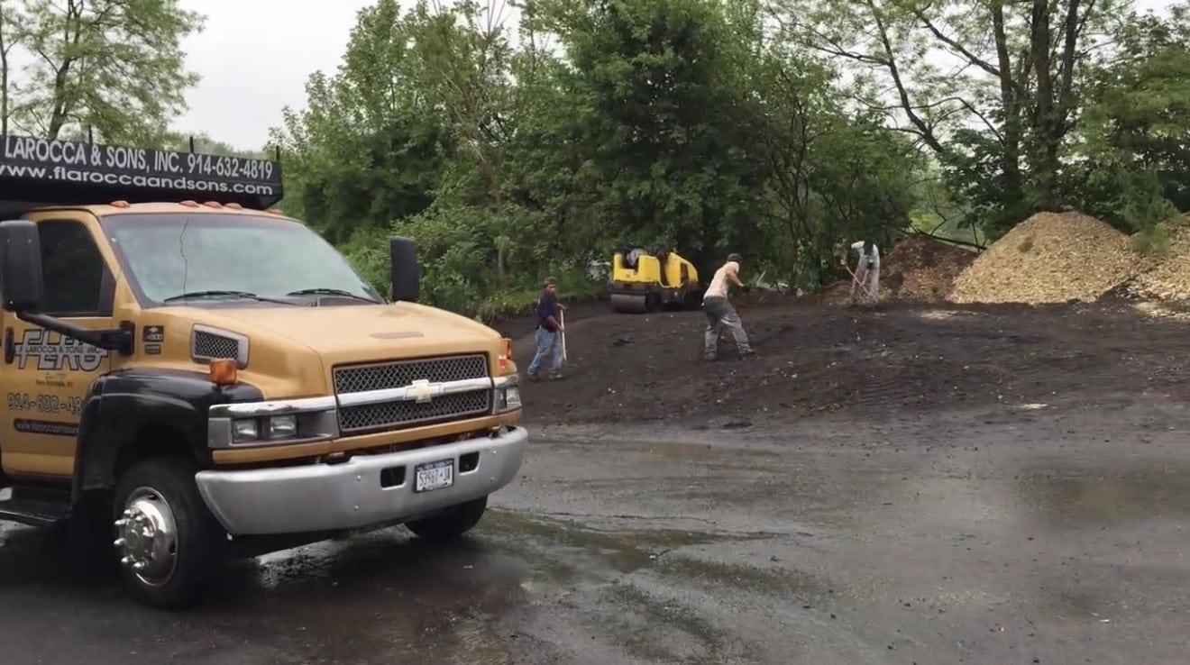 Flavio La Rocca and a crew of workers leveling trees and greenery on public land adjacent to City Park on May 16, 2025