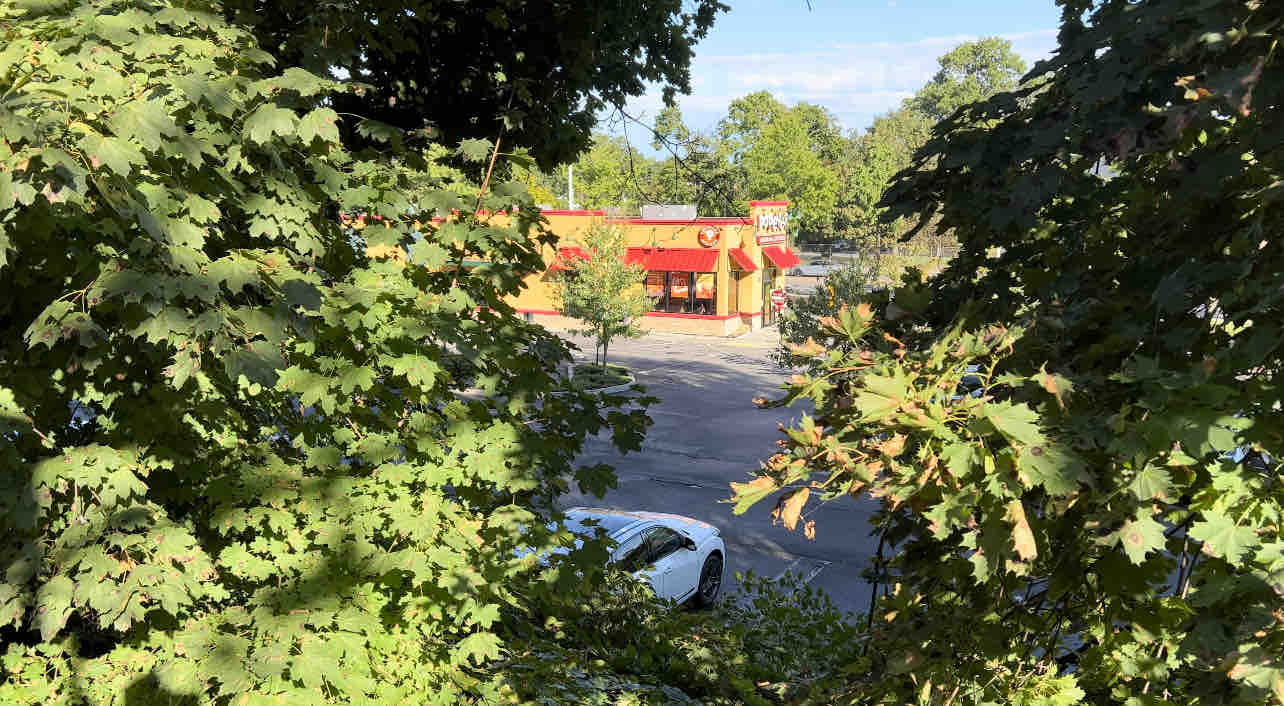 View from rail line looking towards Popeye’s Chicken in New Rochelle, NY.